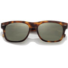 BORREGO LARGE, Classic Tortoise-Mineral Polarized 555nm Silver Cat 3 to 3, hi-res image number null